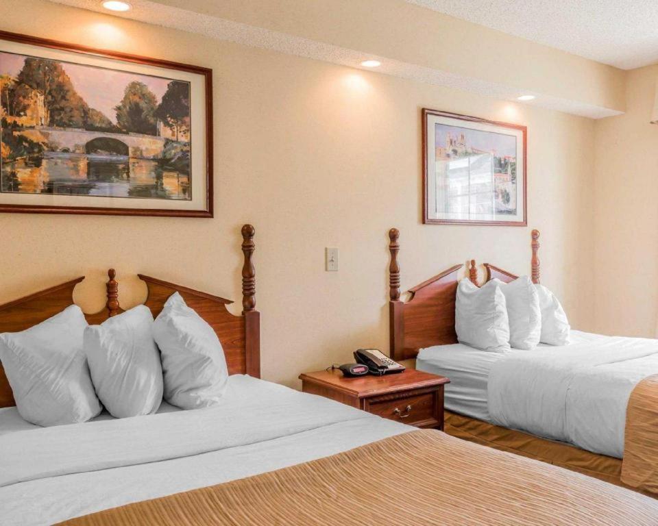 Rodeway Inn Sylacauga Hwy 280 外观 照片